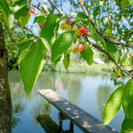 אורחן Landgasthof Adler *