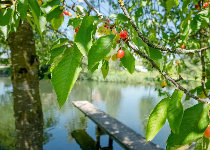 Πανδοχείο Landgasthof Adler *